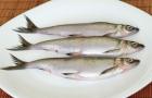 वेंडेस - इस मछली को ओवन में कैसे पकाएं: रेसिपी