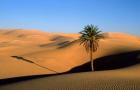 Най-големите пустини в света