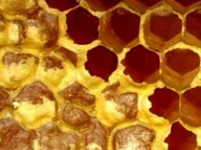 Ce produse oferă o albină în afară de miere