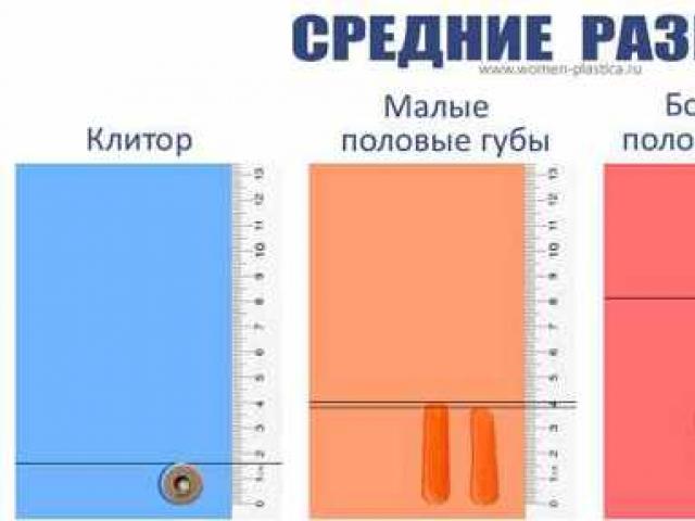 Норма малых половых губ. Малые половые губы. Виды женских половых губ