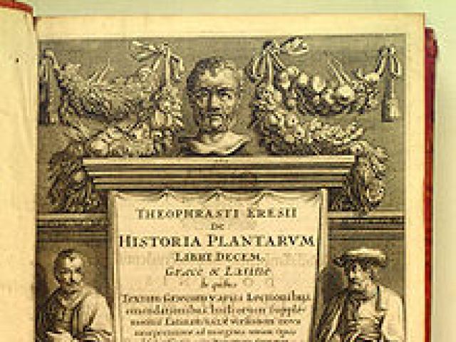 Theophrastus - scurtă biografie