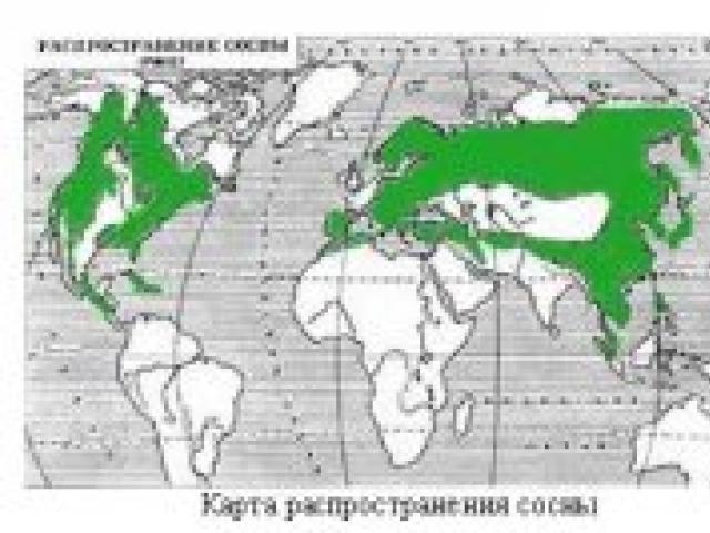 Pedigree a zeilor slavi și a popoarelor din Rusia Vedic
