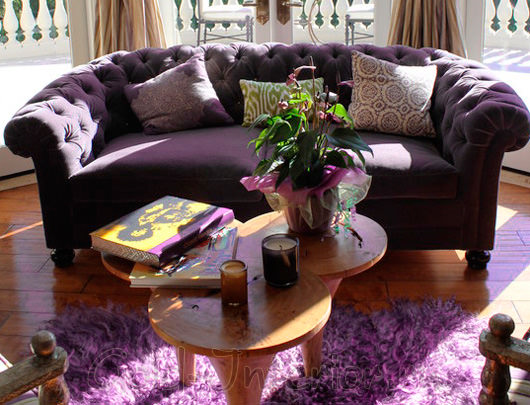 Canapea purpurie în interior: caracteristici de culoare și reguli de combinare